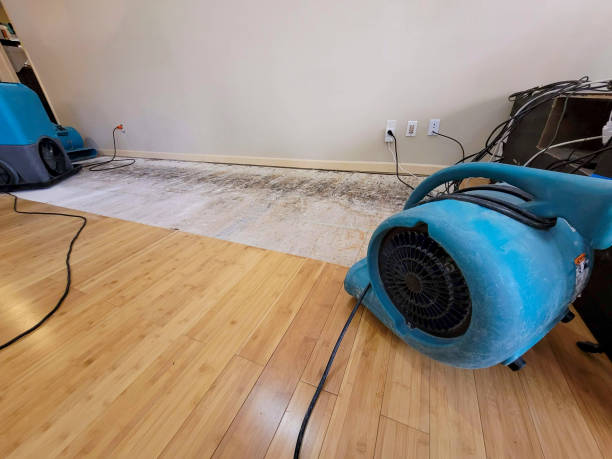 Reliable Basement Flood Cleanup contractor in Burlington, TX by Hirex Water Damage