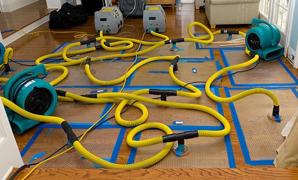 Professional Basement Flood Cleanup technician working in Burlington, TX